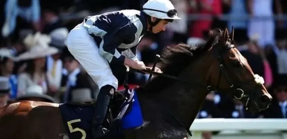 Jockey riding horse during Royal Ascot event