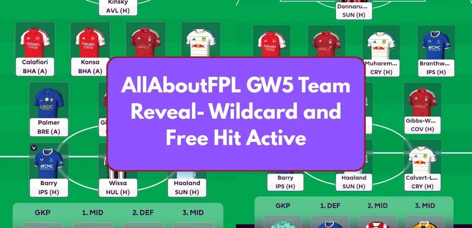 FPL team lineup with wildcard and free hit details