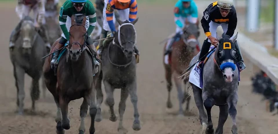 Jockeys racing on horses during horse race