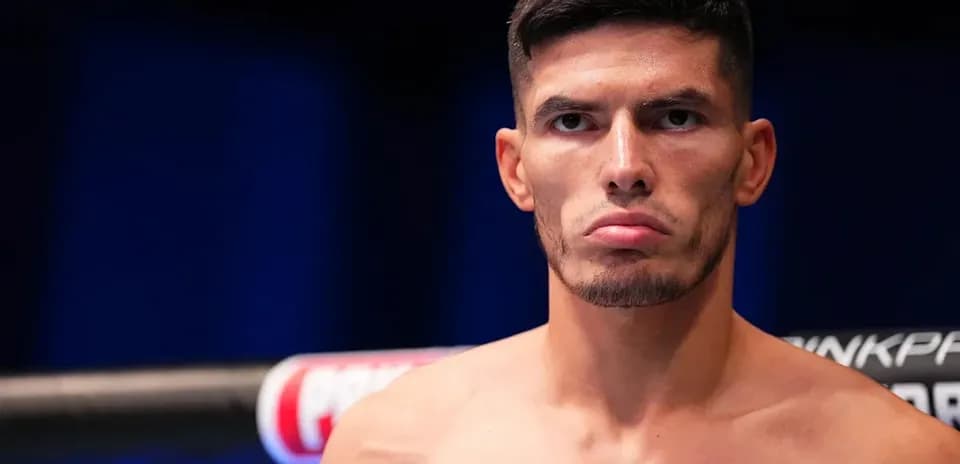 Fighter posing before match in the octagon