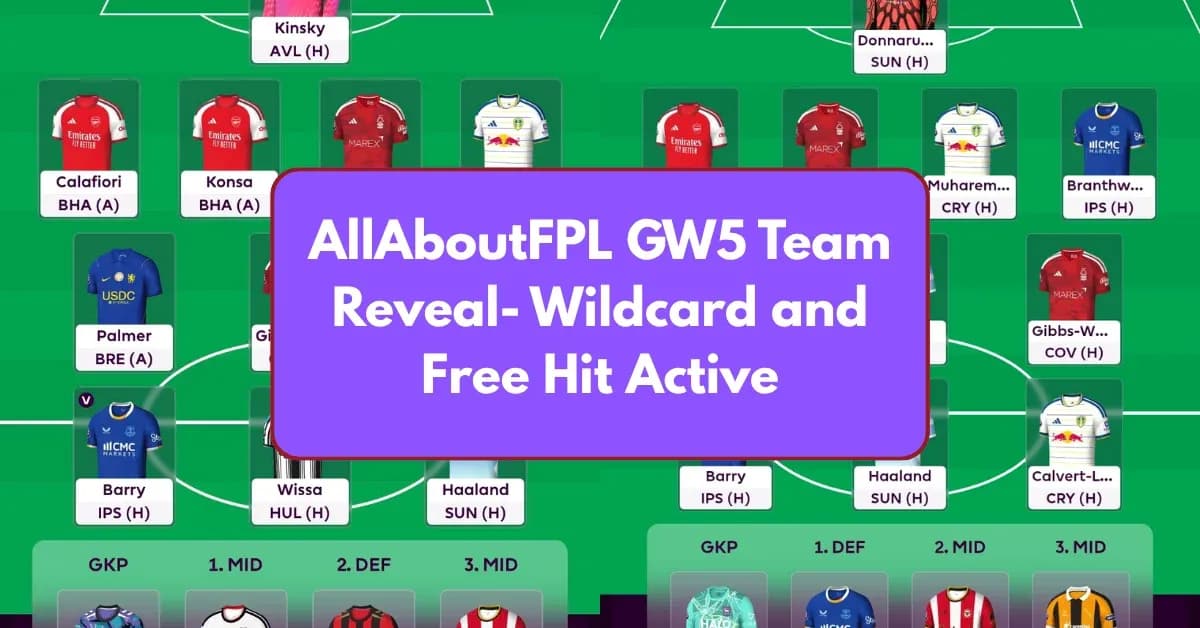 FPL team lineup with wildcard and free hit details FPL team lineup with wildcard and free hit details