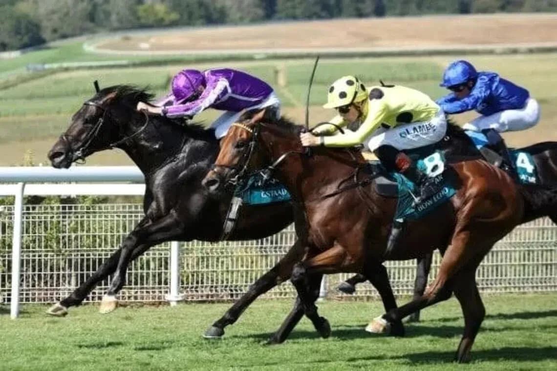 Three horses racing on a turf track Three horses racing on a turf track