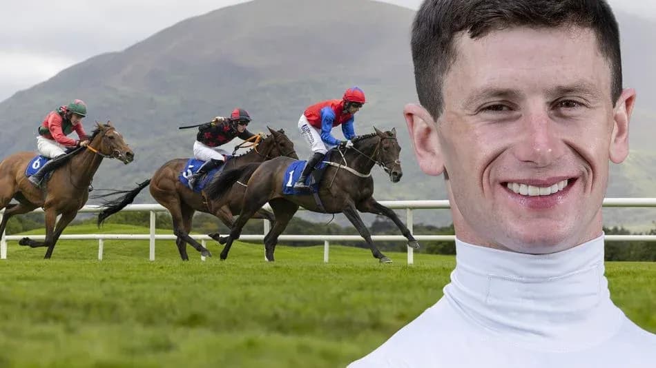 Jockey riding during horse race on grass track Jockey riding during horse race on grass track