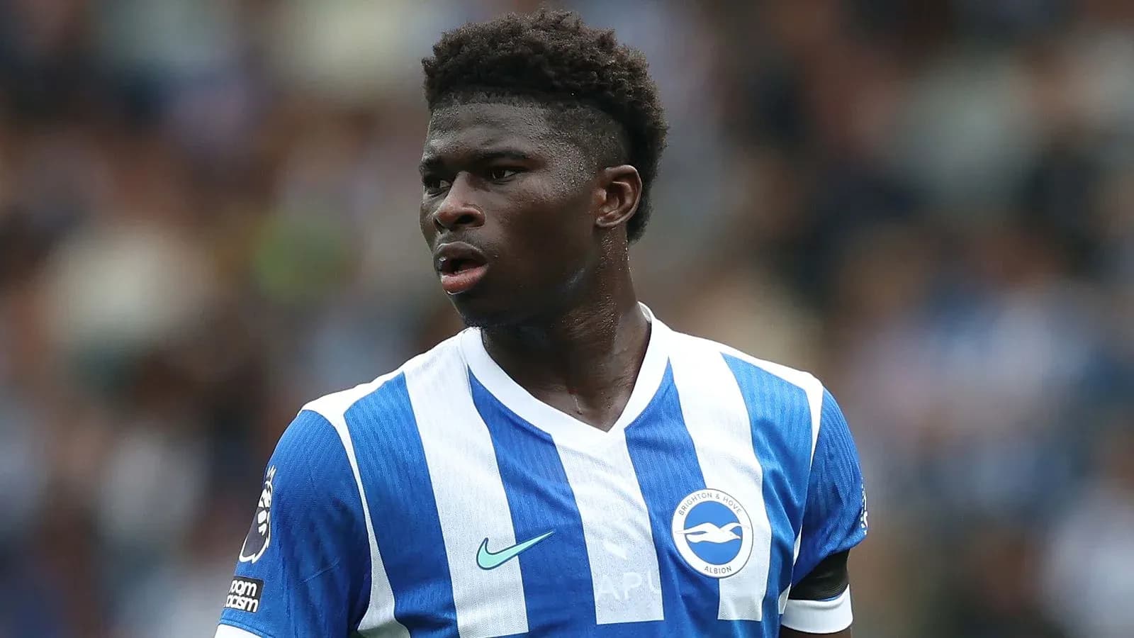 Futbolchi Brighton & Hove Albion formasida maydonda Futbolchi Brighton & Hove Albion formasida maydonda