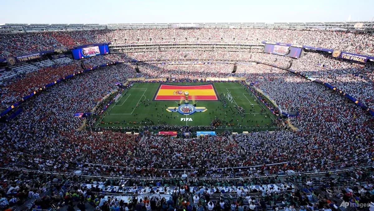 FIFA World Cup final with large crowd and Spanish flag FIFA World Cup final with large crowd and Spanish flag