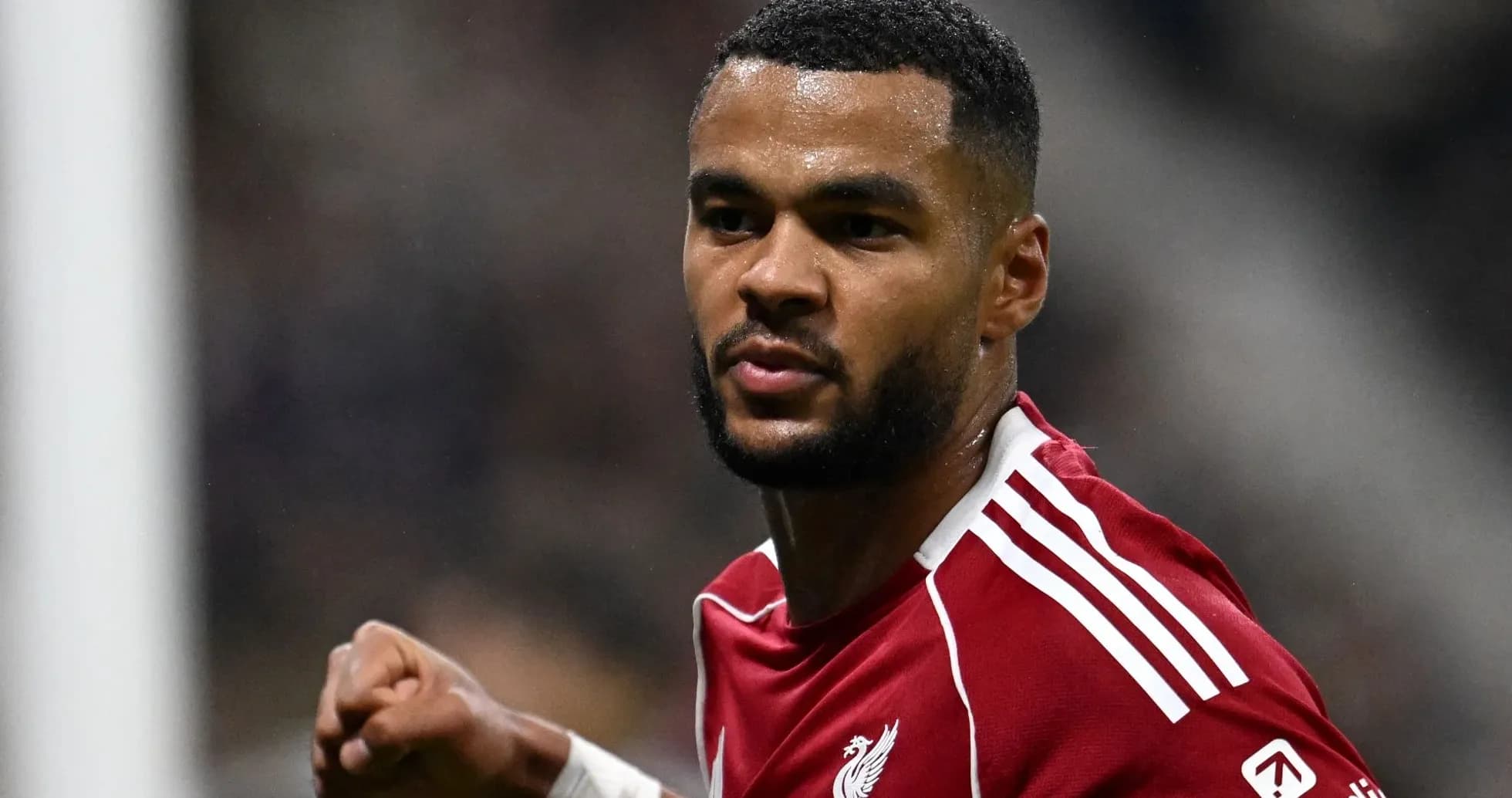 Futbolchi goli nishonlayapti, Liverpool formasi Futbolchi goli nishonlayapti, Liverpool formasi
