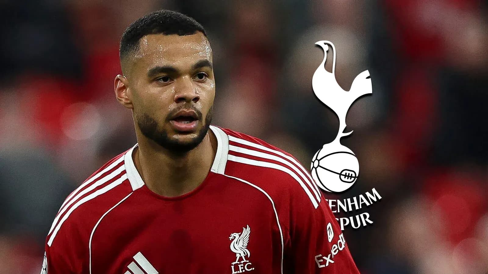 Futbolchi Liverpool formasida o'yin maydonida Futbolchi Liverpool formasida o'yin maydonida